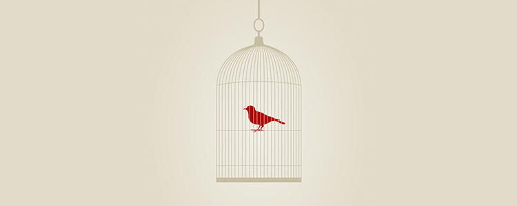 怎么去攻击一个网站与防护